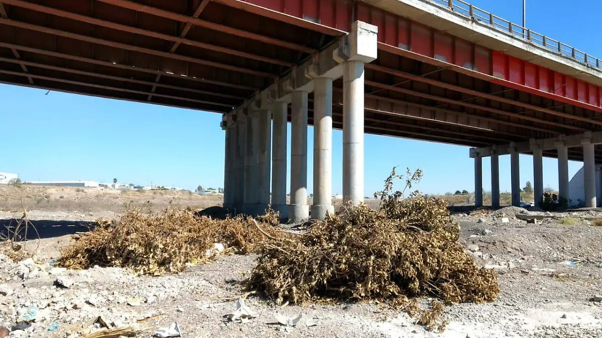 15 PUENTE SOLIDARIDAD UNA TRAMPA3